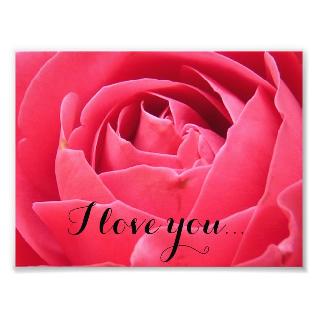 Pink Rose Photo Print (Front)