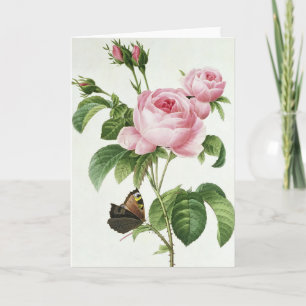 Pink Rose Pierre-Joseph Redoute Greeting Card