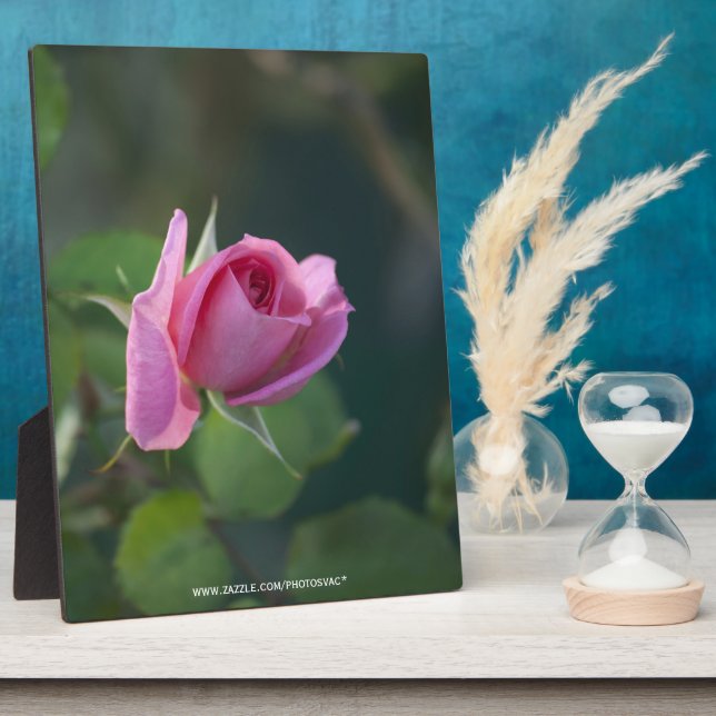 Pink Rose Plaque (Side)