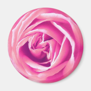 Pink rose print magnet