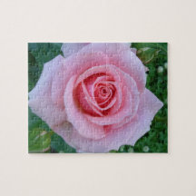 Pink Rose Puzzle