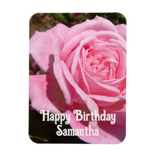 Pink Rose Roses Flower flowers Floral Birthday Magnet