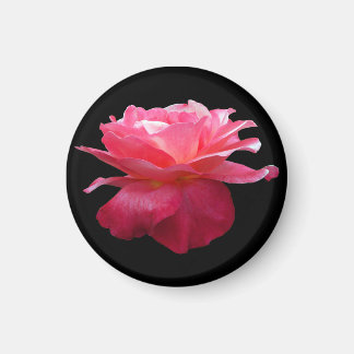 Pink Rose Round Fridge Magnet Gardener Gift