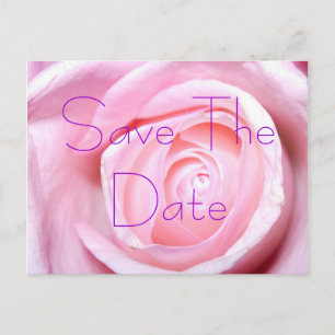 Pink Rose, Save The Date Postcard