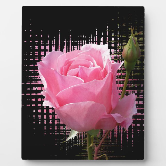 pink rose splash plaque (Front)