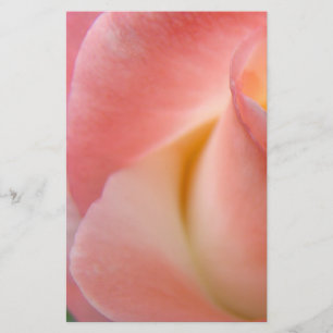 Pink Rose Stationery Personalise Floral gifts