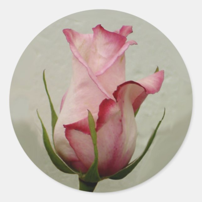 Pink rose sticker (Front)