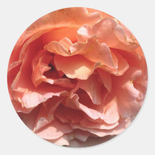 Pink Rose Sticker