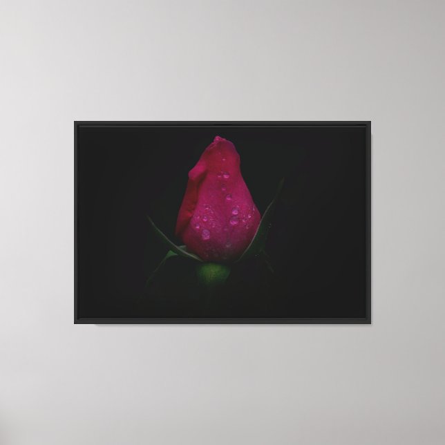 Pink Rose Stretched Canvas Print (Front)