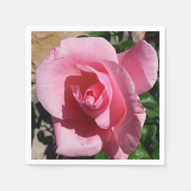 Pink Rose Sunny Garden Floral Napkin (Front)