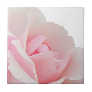 Pink rose tile