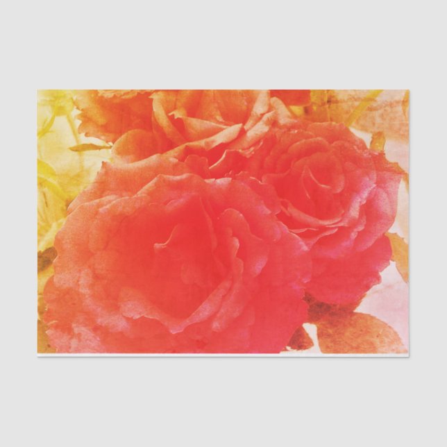 Pink Rose Tissue Paper (Front)