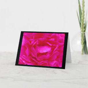 Pink Rose Valentine II Holiday Card