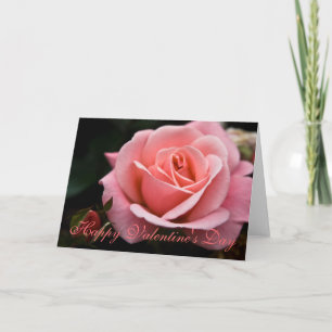 Pink Rose • Valentine's Day Greeting Card