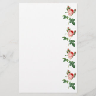 Pink rose vintage botanical illustration border stationery