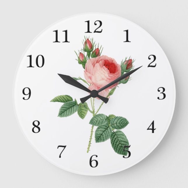 Pink rose vintage botanical illustration large clock (Front)