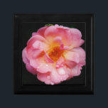 Pink Rose w/ Dew Drops Black Background Gift Box<br><div class="desc">Pink Rose with raindrops Black Background Bring the beauty of nature to any special occasions with this popular Pink Rose, Perfect for weddings engagements, bridal parties, birthdays, anniversaries, garden parties Add text on Products. Everything is fully customisable. To add/change the text, including changes to the font, font colour, font size,...</div>