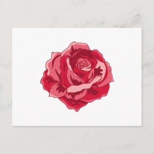 Pink Rose Watercolour Postcard