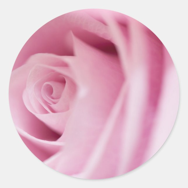 Pink Rose Wedding Envelope Seal and Stickers (Front)