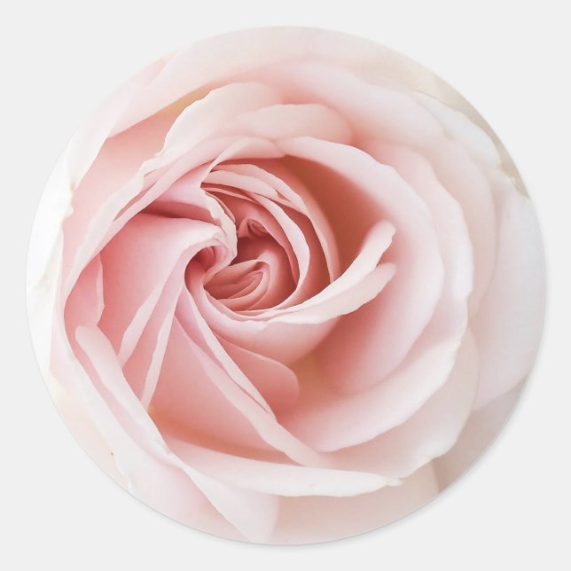 Pink Rose & White Wood Shabby Chic Bridal Shower Classic Round Sticker (Front)