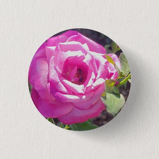 Pink Rose with a Bee Button (Front)