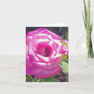 Pink Rose with a Bee Personalised Greeting Card