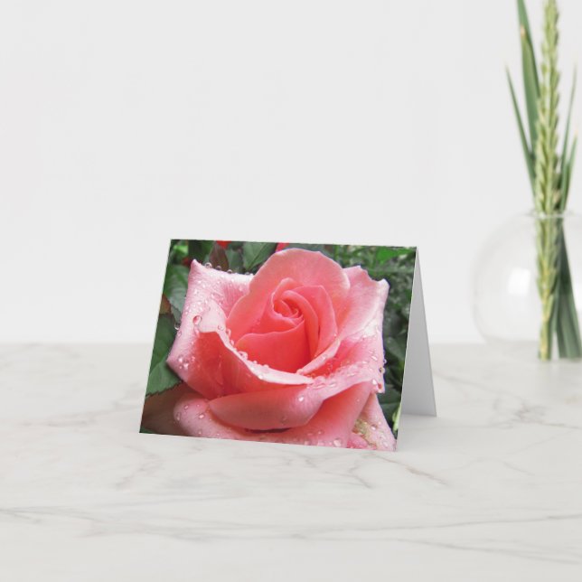 Pink Rose with Dew Note Card (Front)