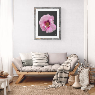 Pink rose with Purple Heart - oil painting Photo Print