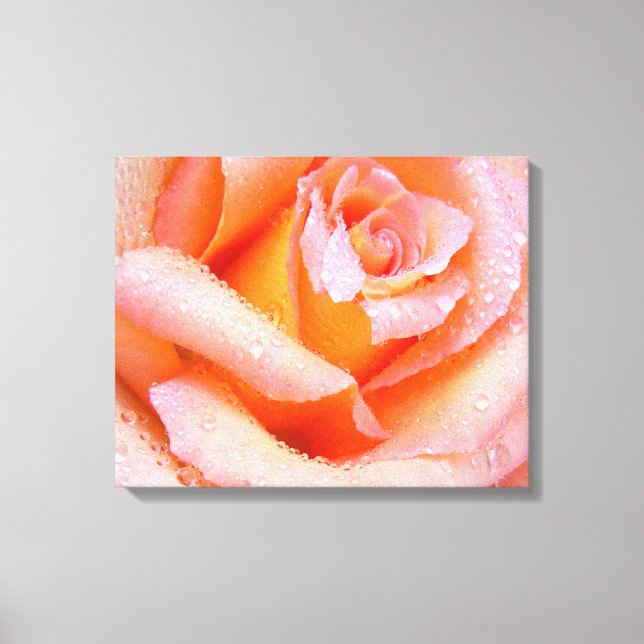 Pink Rose Wrapped Canvas (Front)