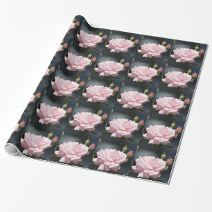 pink rose wrapping paper