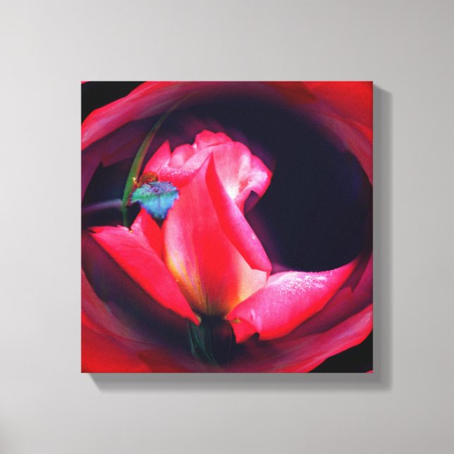 Pink Rosebud Abstract Floral Canvas Print (Front)