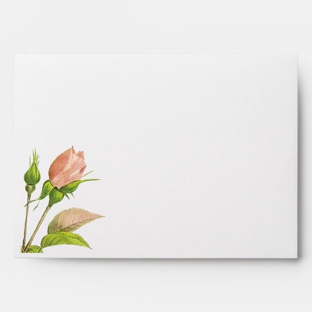 Pink Rosebud Botanical Roses A7 Envelope (Front)