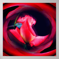 Pink Rosebud Floral Abstract Art
