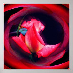 Pink Rosebud Floral Abstract Art Poster