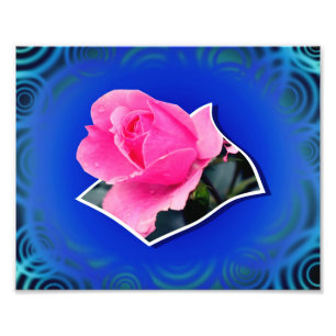 Pink Rosebud Flower Out Of Bounds Art 8x10 Photo Print