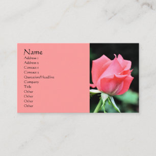 Pink Rosebud Flower Photography Business Card