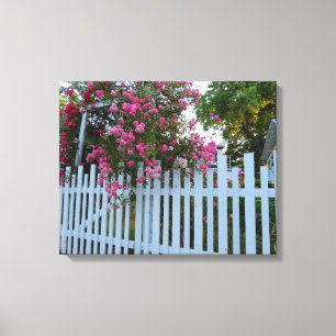 Pink Roses and Picket Fence - Martha's Vineyard Canvas Print