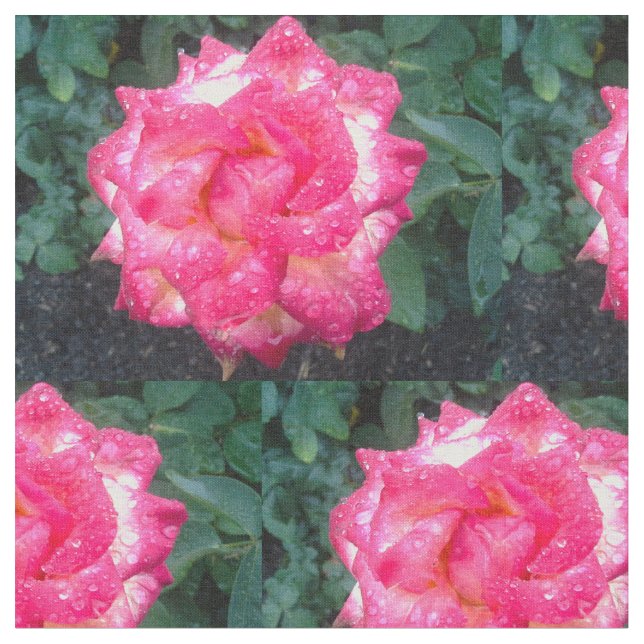 PINK ROSES AND RAINDROPS fabric (Close Up)