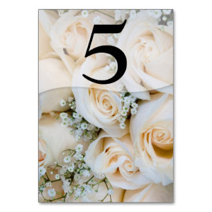 Pink Roses Baby's Breath Table Number Card