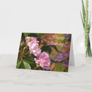 Pink Roses Birthday Card