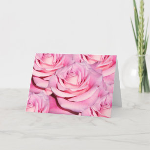 Pink roses blank card