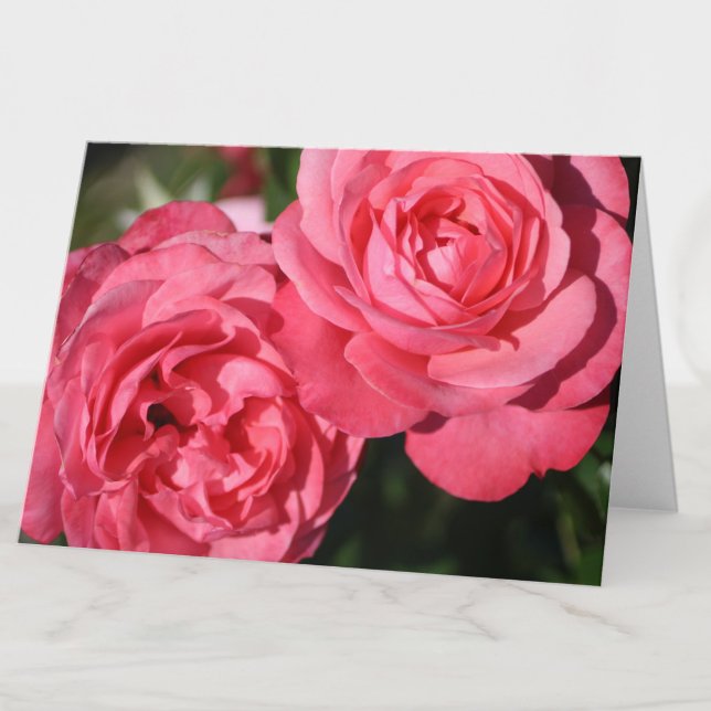 Pink Roses Blank Inside Floral Note Card (Creator Uploaded)