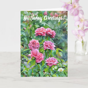 Pink Roses Blooming Garden Art Birthday Card