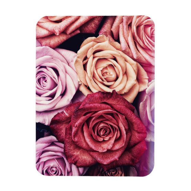 Pink Roses Bouquet Photo Magnet (Vertical)
