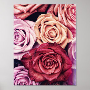 Pink Roses Bouquet Photo Poster