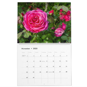 Pink roses calendar
