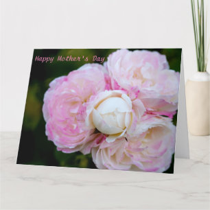 Pink roses card