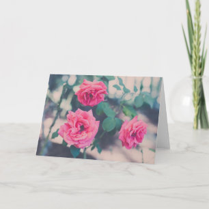 Pink Roses Card
