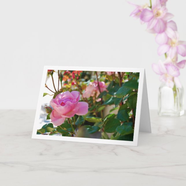 Pink Roses Card (Orchid)