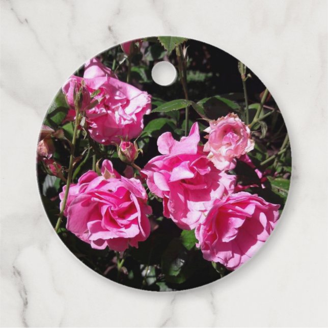 Pink Roses Favour Tags (Front)
